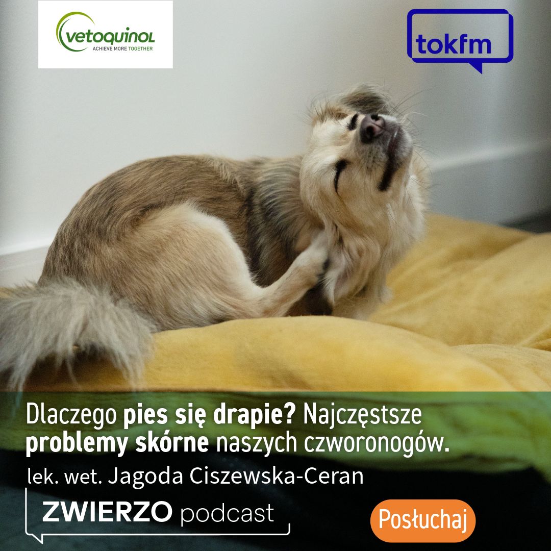 Zwierzopodcast